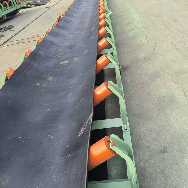 EE Polyester Conveyor Belt